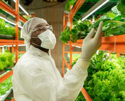 Food Safety Tips