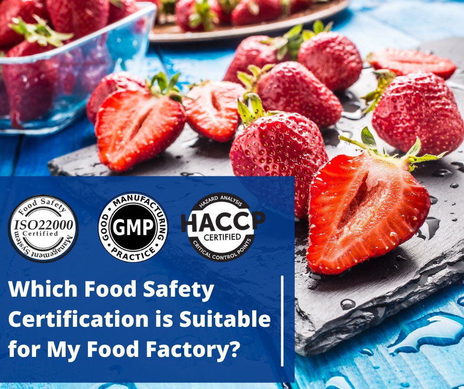 food certification iso 22000 haccp